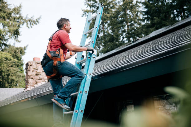 Best Gutter Installation and Repair  in Pana, IL